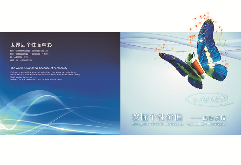 計(jì)算機(jī)科技畫冊(cè)設(shè)計(jì),計(jì)算機(jī)科技公司畫冊(cè)設(shè)計(jì)