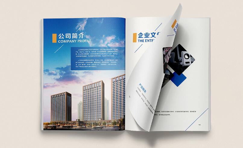 廣州電子畫冊(cè)樣板設(shè)計(jì)案例欣賞