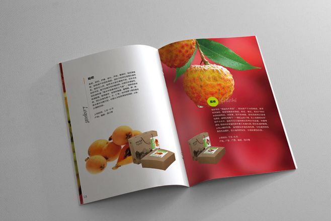 宣傳冊設計一般一頁多少錢？宣傳冊的特點有哪些？
