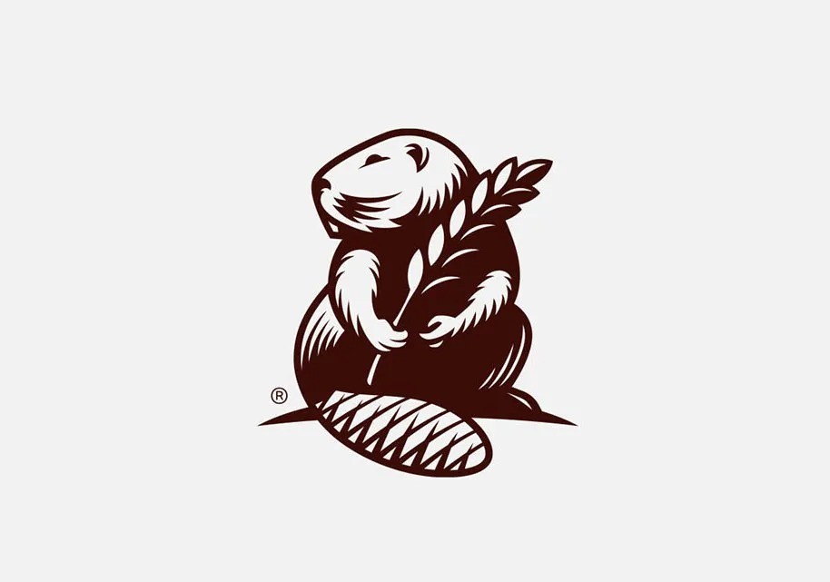 logo商標(biāo)設(shè)計(jì)要求有哪些？條件是什么