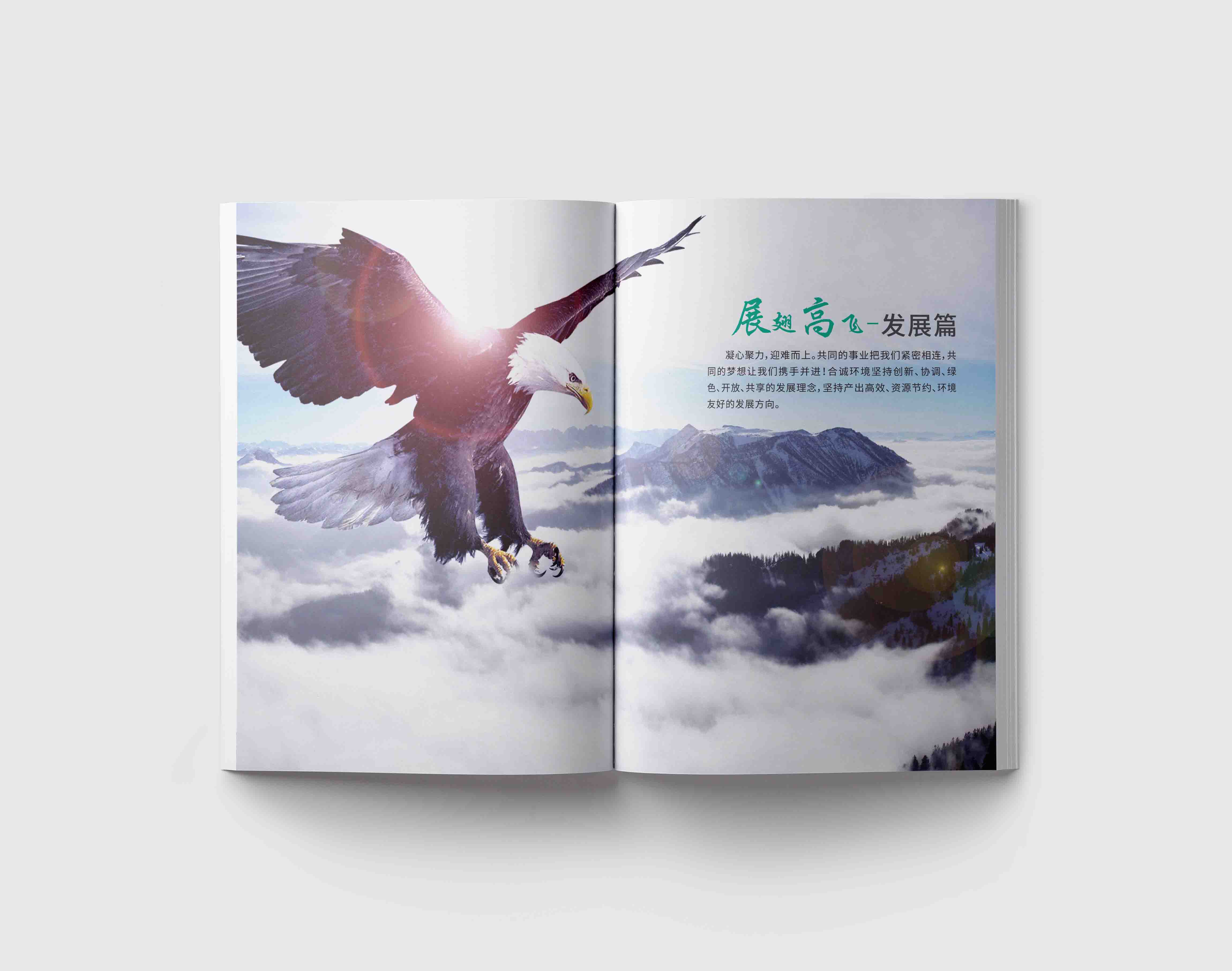 企業(yè)宣傳畫(huà)冊(cè)設(shè)計(jì)