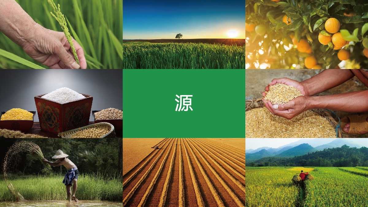 農(nóng)產(chǎn)品品牌設(shè)計(jì)技巧有哪些？怎樣塑造品牌形象