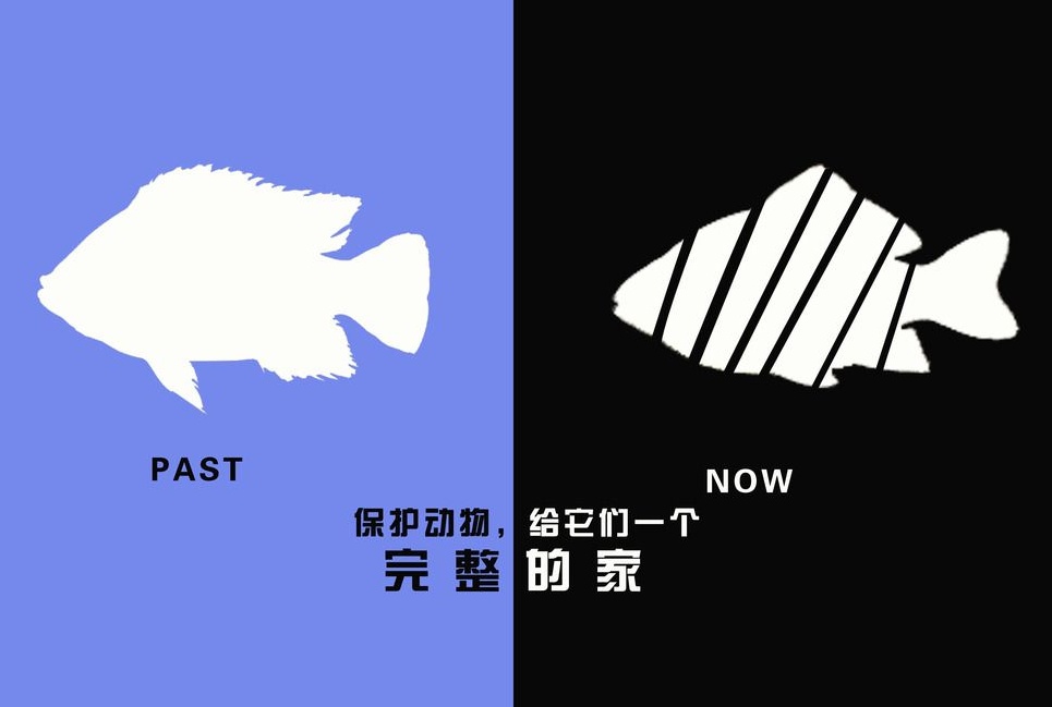 廣告設(shè)計制作有哪些要求？有哪些注意事項？