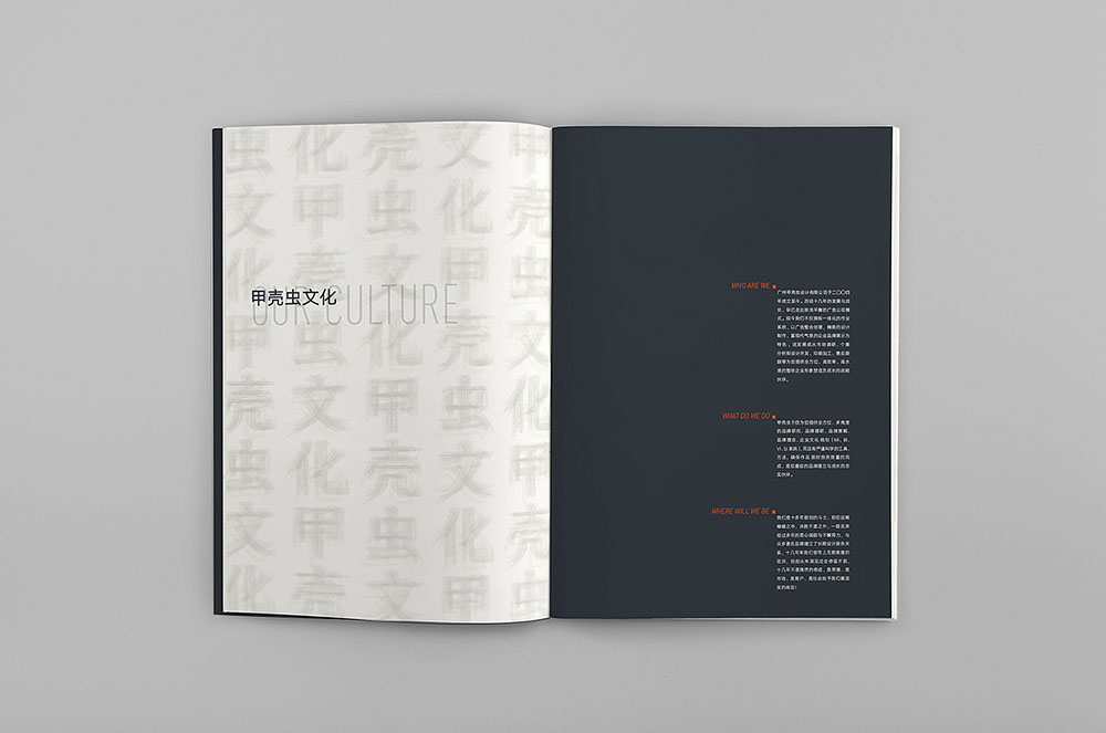 創(chuàng)意目錄冊設(shè)計-創(chuàng)意目錄冊設(shè)計公司