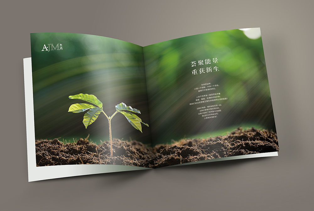 網(wǎng)紅化妝品畫(huà)冊(cè)封面設(shè)計(jì),網(wǎng)紅化妝品內(nèi)容模板設(shè)計(jì)公司