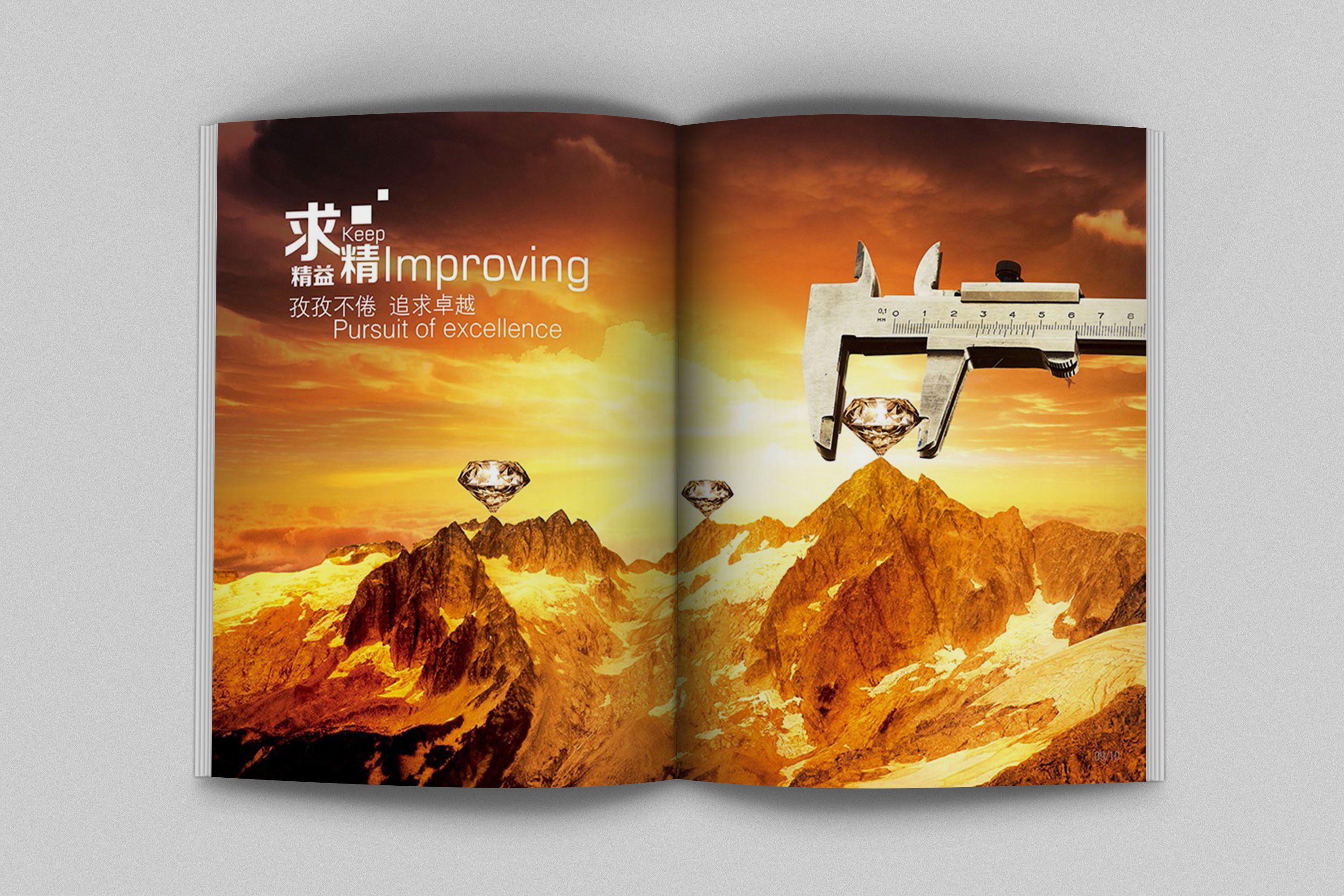 廣州地產(chǎn)招商畫冊設(shè)計,廣州地產(chǎn)招商畫冊設(shè)計公司