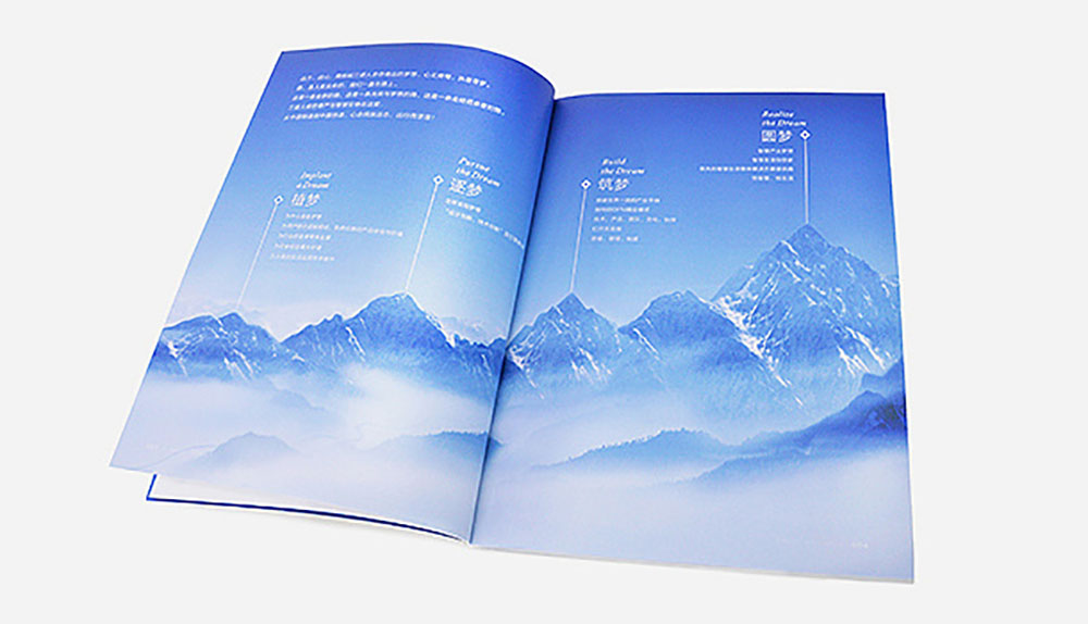 集團(tuán)畫(huà)冊(cè)設(shè)計(jì),集團(tuán)畫(huà)冊(cè)設(shè)計(jì)公司