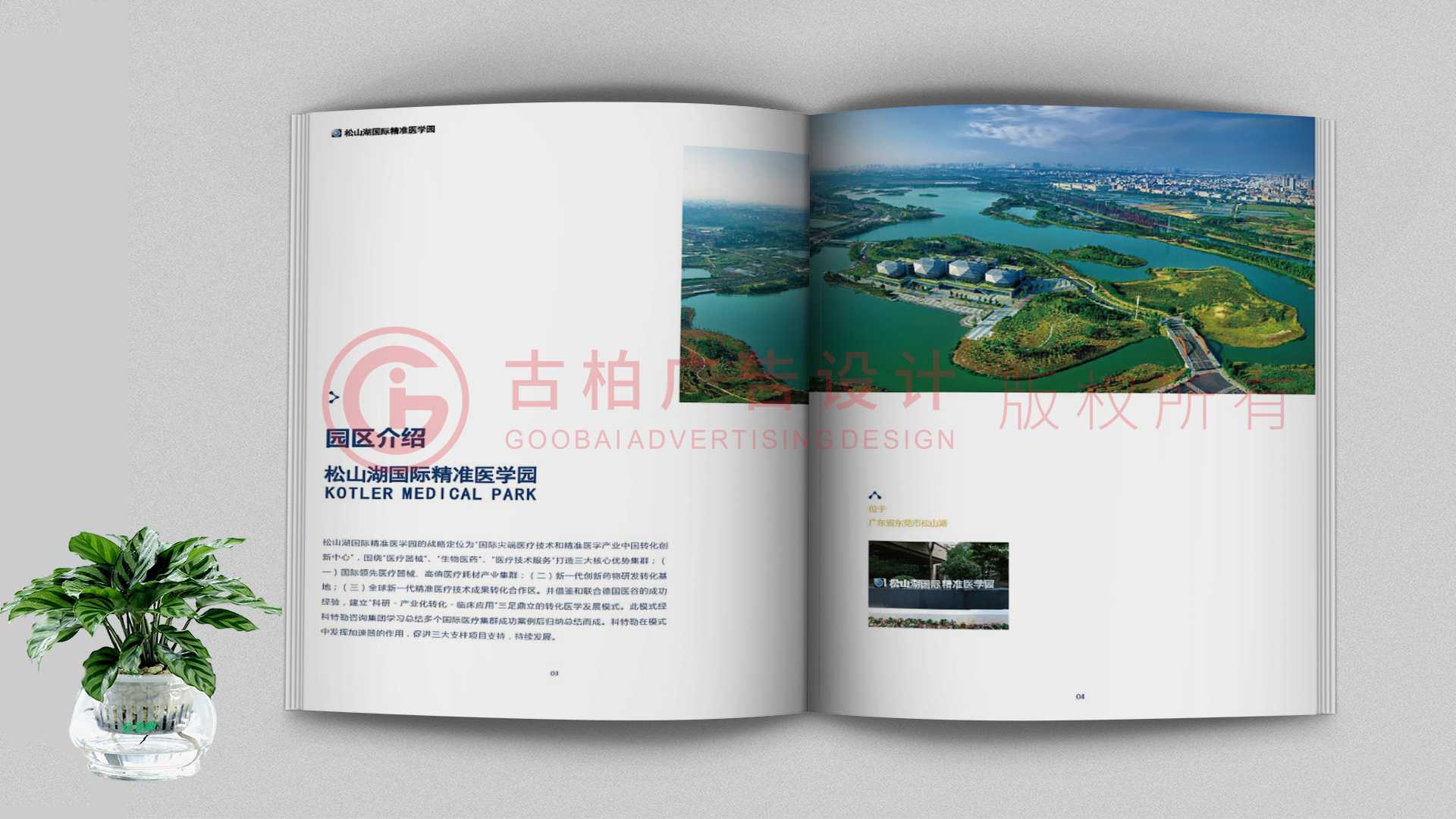一本聚會紀(jì)念冊該如何通過排版來提升整體的美觀性？