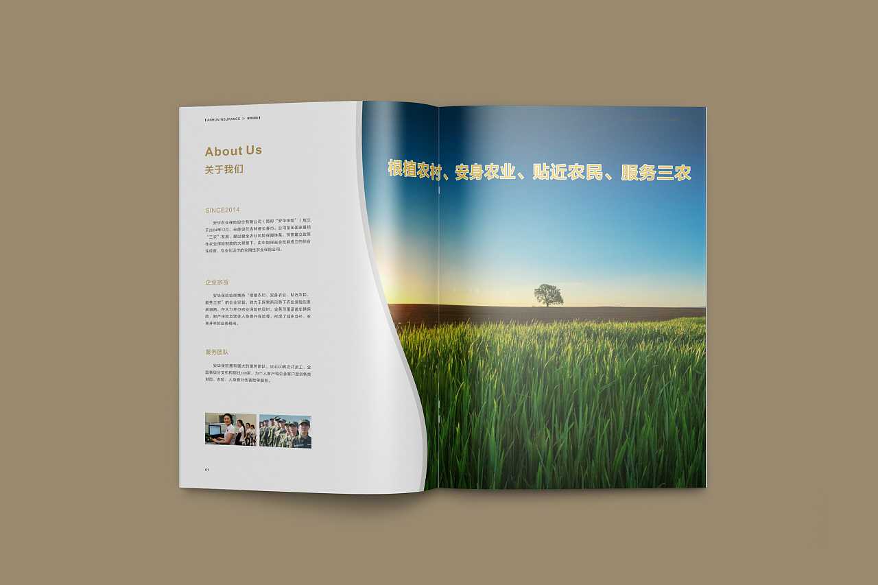 成都企業(yè)為什么要選擇高端宣傳冊設計公司呢？