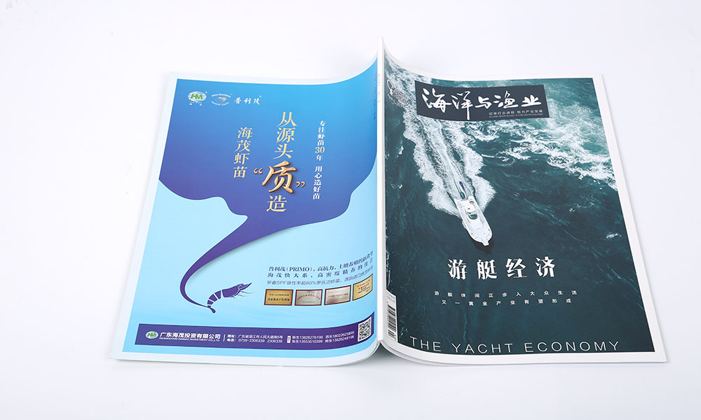 一個畫冊設(shè)計如何？